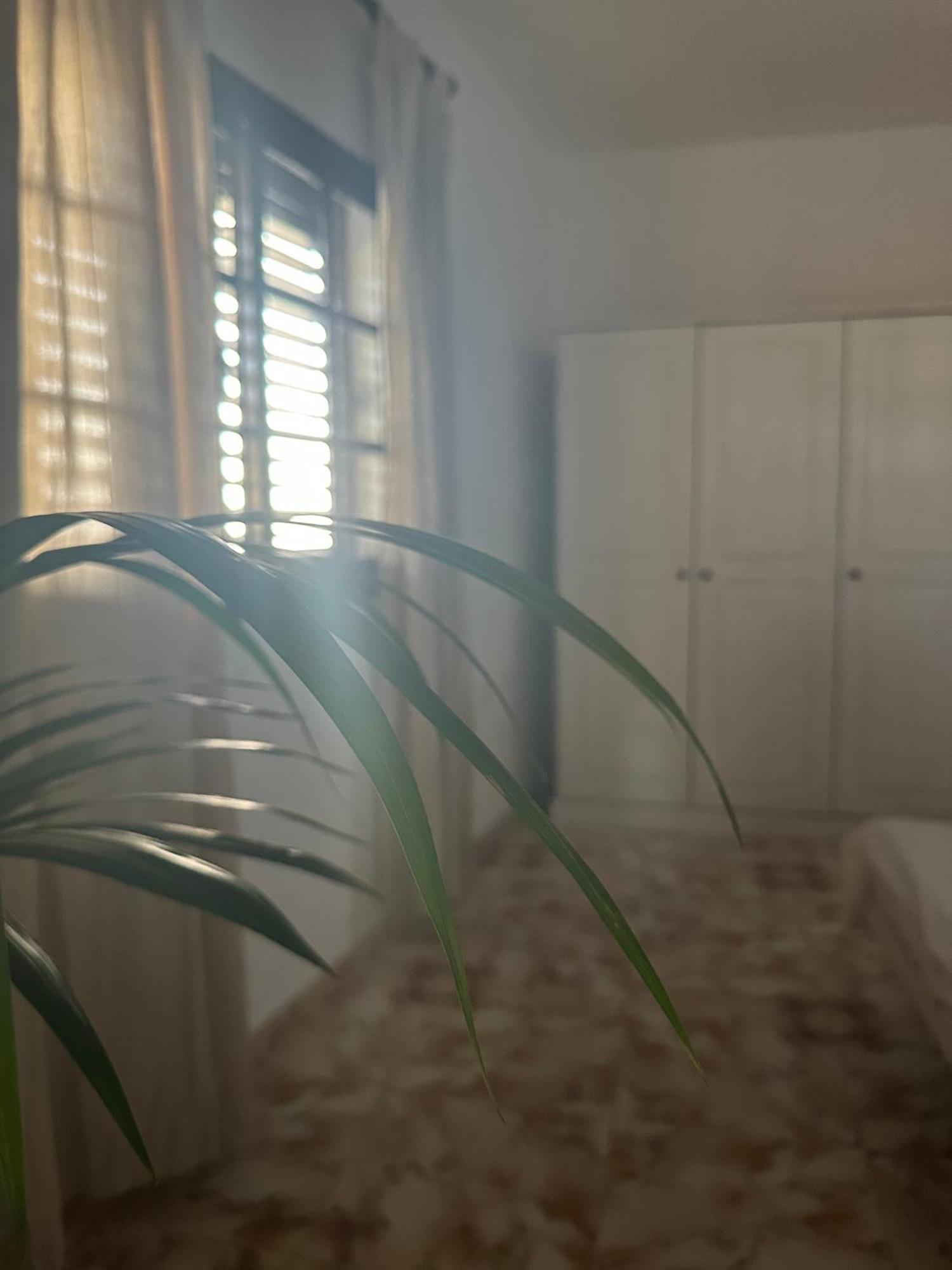 Apartamento Fortaleza 巴列埃尔莫索 外观 照片