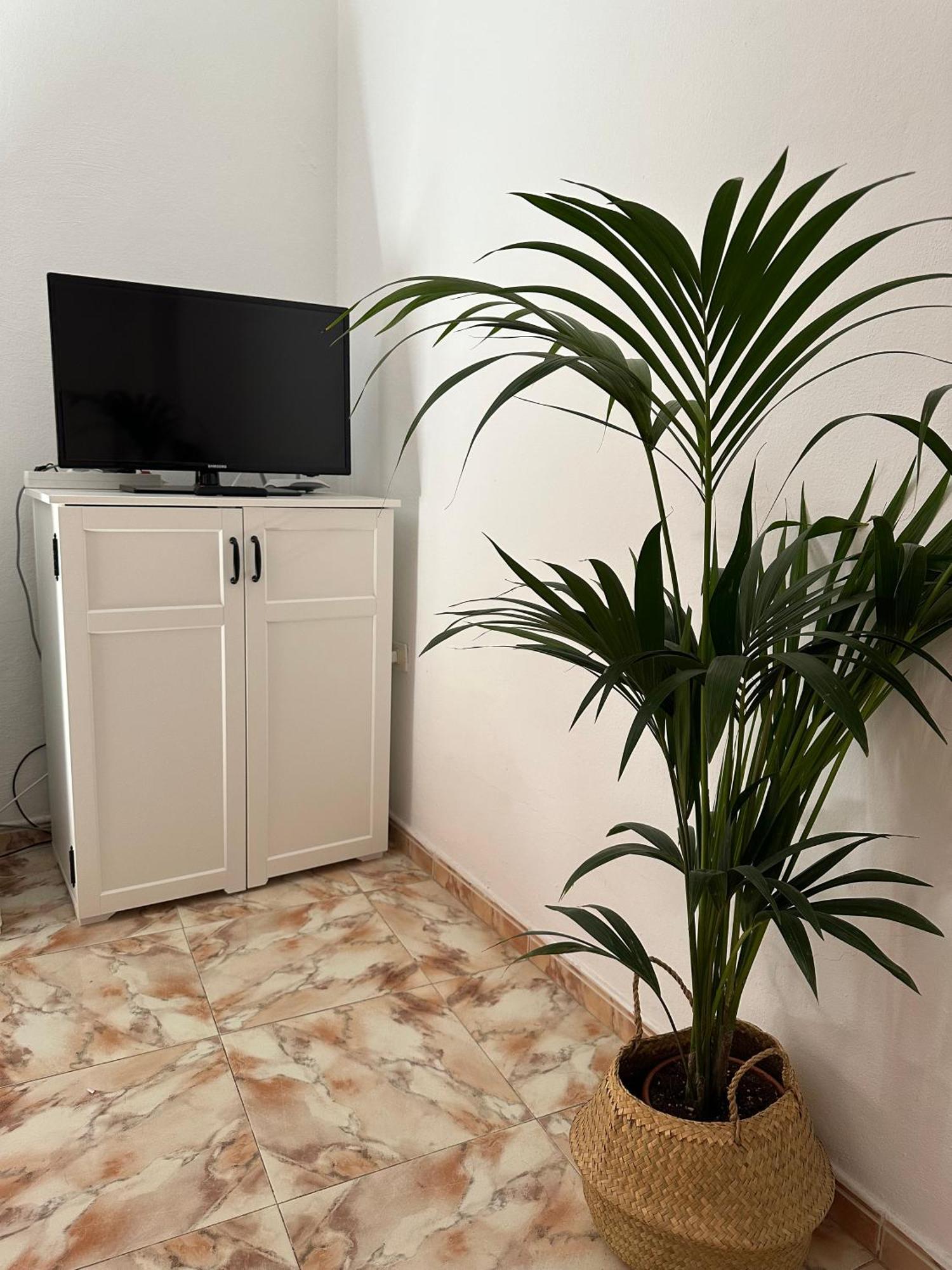 Apartamento Fortaleza 巴列埃尔莫索 外观 照片
