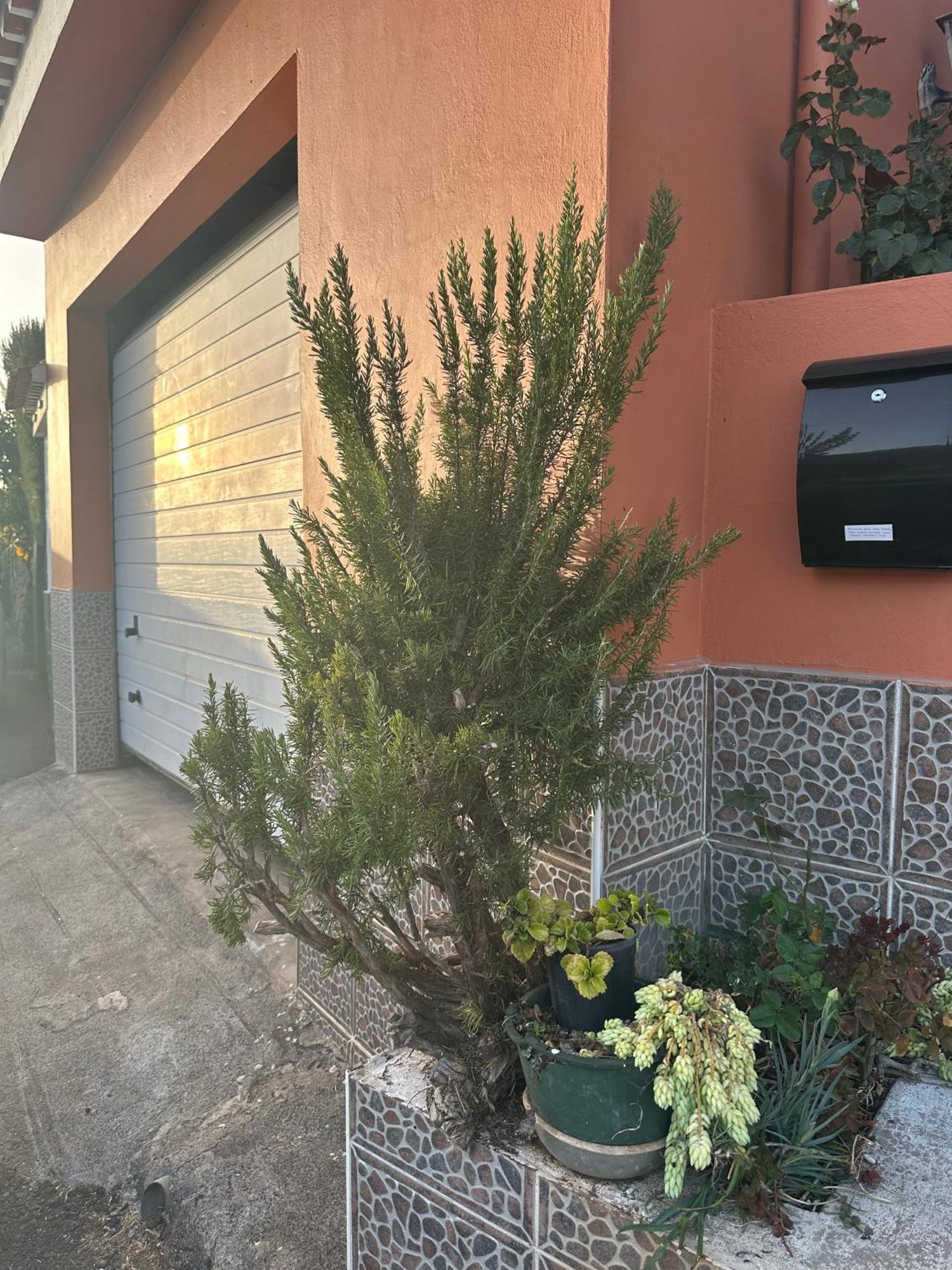 Apartamento Fortaleza 巴列埃尔莫索 外观 照片