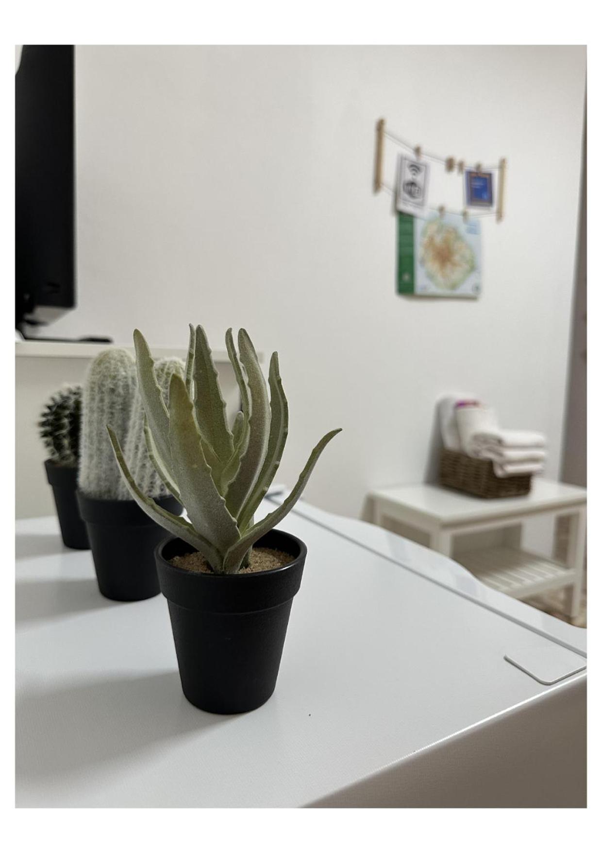 Apartamento Fortaleza 巴列埃尔莫索 外观 照片